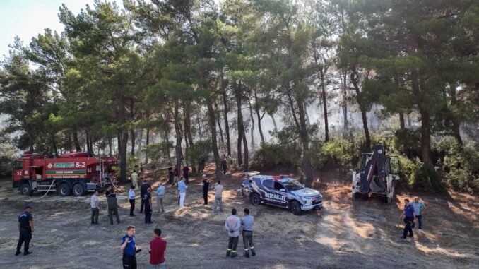 Buca’da Orman Yangınlarına Karşı Dört Koldan Seferberlik