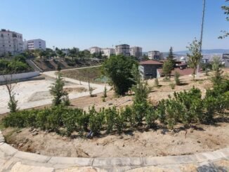 Daha Yeşil Bir İzmir İçin Buca Yedigöller Yeniden Canlandırdı - Merhaba İzmir