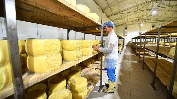 İzmirli Üretici Terra Madre Anadolu İle Dünyaya Açılıyor