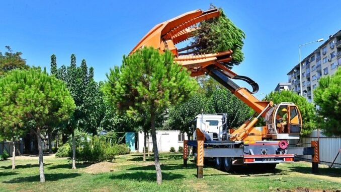 Buca Metrosu Güzergahındaki Ağaçlar Taşınarak Koruma Altına Alınıyor