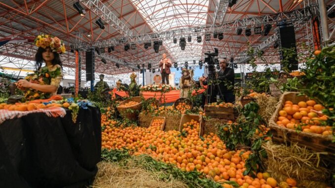 22. Seferihisar Mandalina Şenliği, Renkli Görüntülerle Başladı