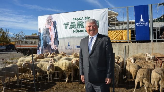 Bergama’da Dağıtılan Küçükbaş Sayısı Yavrularla 6 Bini Aştı
