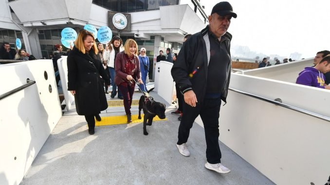 Rehber Köpekler Toplu Ulaşımda