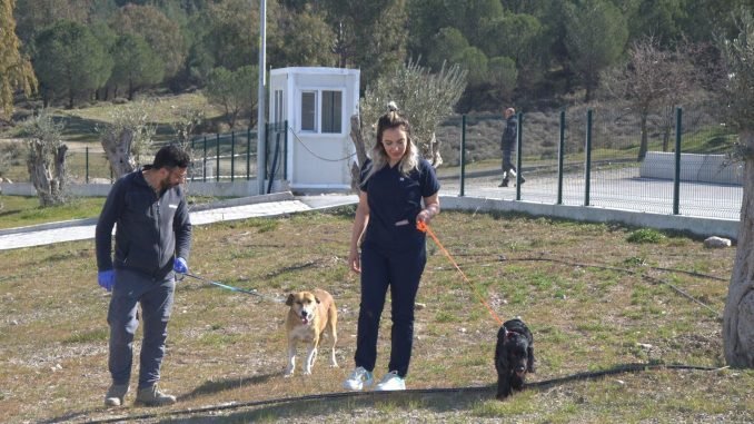 Enkazdan Kurtarılan Hayvanlar İzmir’e Getirildi