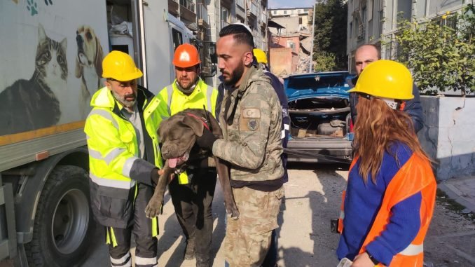 İzmir Büyükşehir Belediyesi Depremden Etkilenen Hayvanları Unutmadı