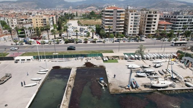 Bostanlı Sahilinde Deniz Marulu Temizliği