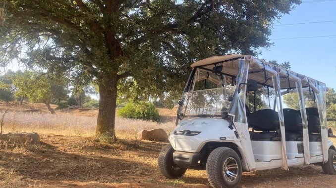 Olivelo Yaşayan Park’ta Safari Turları Başladı