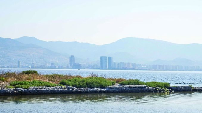 İzmir Körfezi’nde Biyolojik Çeşitlilik İzleme Çalışmaları Başlıyor