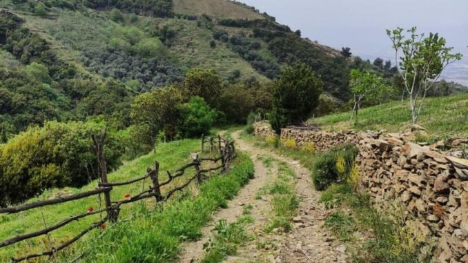 Efeler Yolu, Green Destinations'den Ödül Aldı