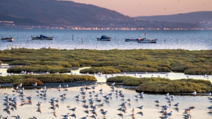 İzmir ve Lubliyana Kuraklığa Karşı Güçlerini Birleştirecek