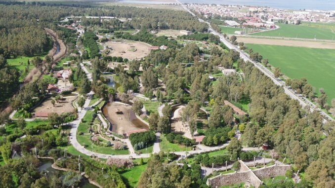 İzmir Doğal Yaşam Parkı Yeni Yıla Yenilenerek Giriyor