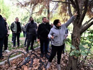 Bornova'da Dış Mekan Süs Bitkilerinde Budama Eğitimi - Merhaba İzmir