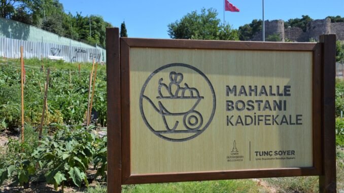 İzmir’de Mahalle Bostanı Üreticileri Artık Sertifikalı