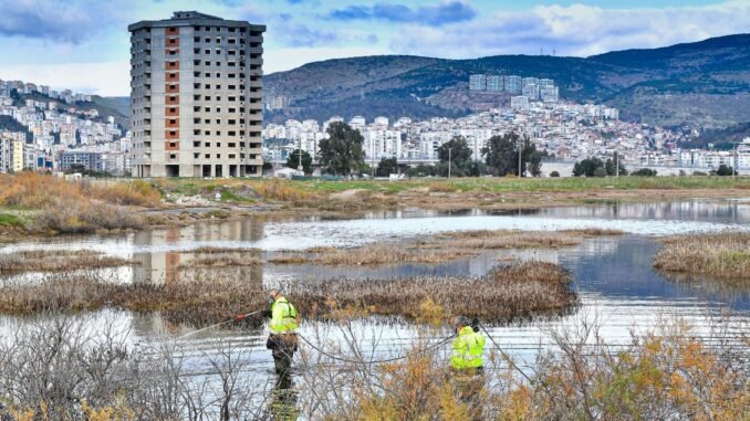 İzmir'de Asya kaplan Sivrisineğine Karşı Mücadelesi Kışın Da Devam Ediyor