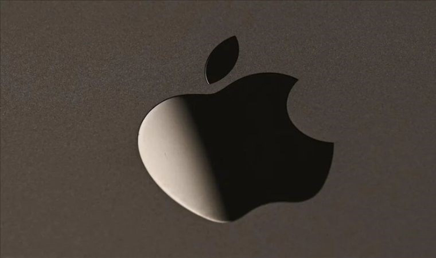 applein-kokenleri-ve-gelisimi-z4jjle6w.jpeg