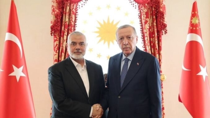 erdogan-haniye-gorusmesi-ve-israil-disisleri-bakanindan-tepki-uDu2kwFj.jpg