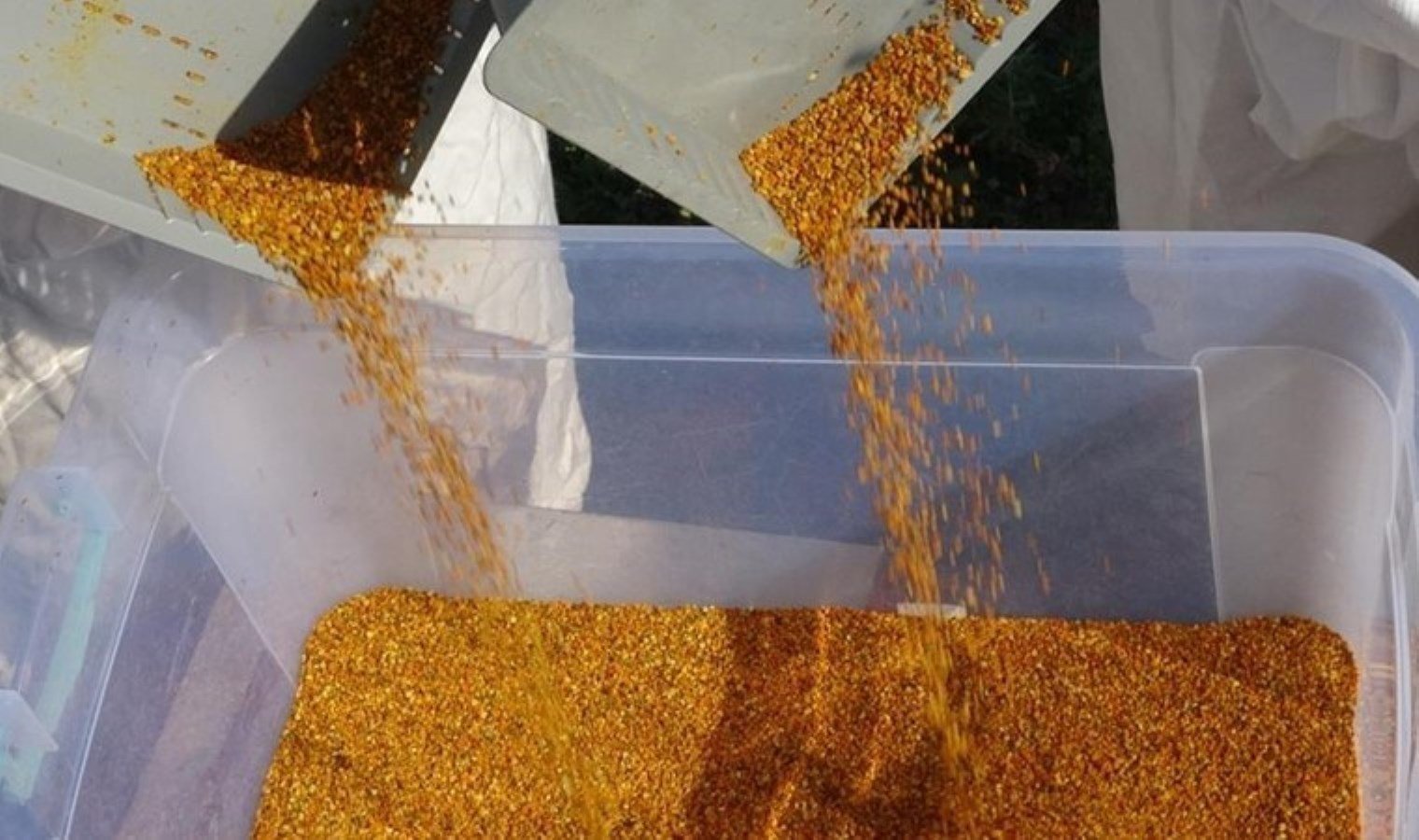 polen-hasadi-sifir-rakimda-basladi-QtaRz8Et.jpg polen-hasadi-sifir-rakimda-basladi-QtaRz8Et.jpg