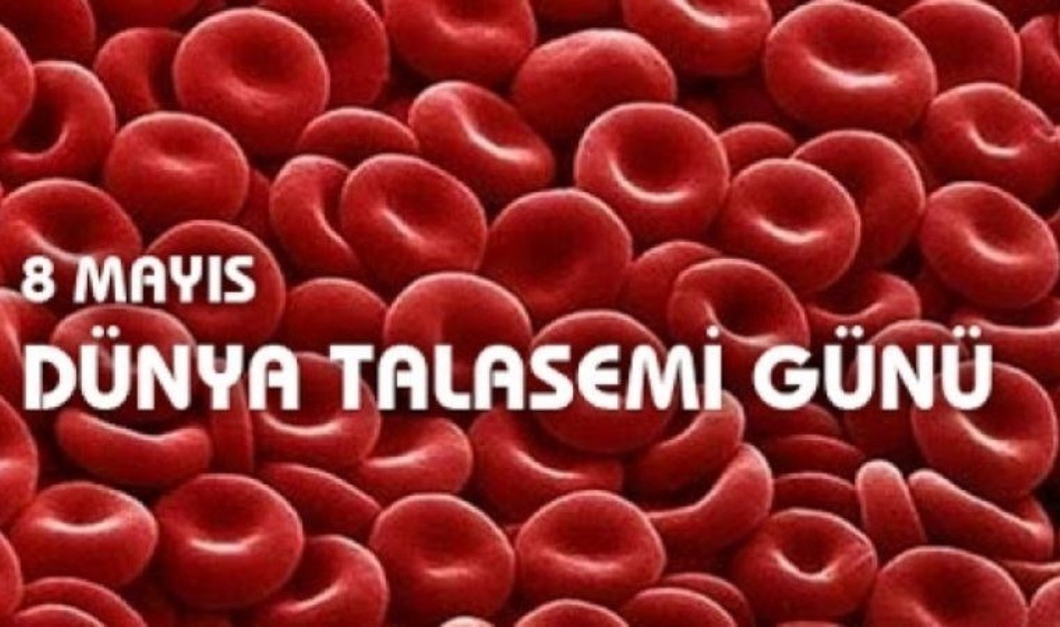 8-mayis-dunya-talasemi-gunu-nedir-mf2ys4Ci.jpg