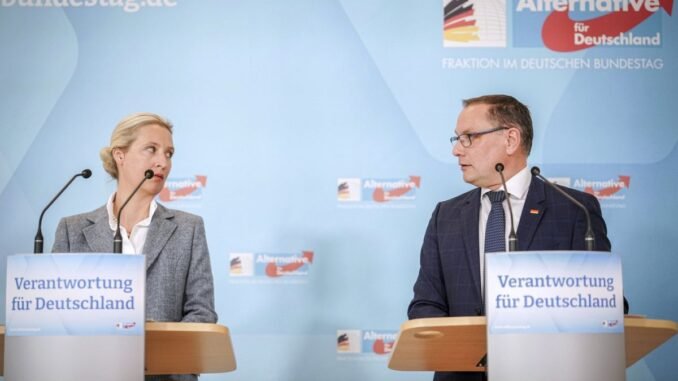 afd-mahkeme-yenilgisinin-ardindan-supheli-asirilikci-orgut-olarak-siniflandirildi-hbgcOWIw.jpg
