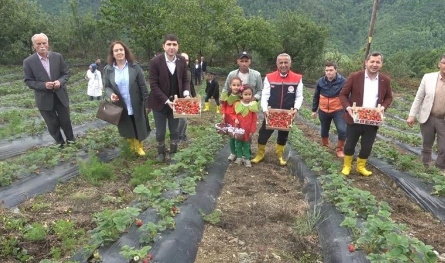bin-rakimda-yetisiyor-ureticisi-taleplere-yetisemiyor-hobi-olarak-ekilmisti-simdi-100-donumde-uretiliyor-FygTFZgA.jpg