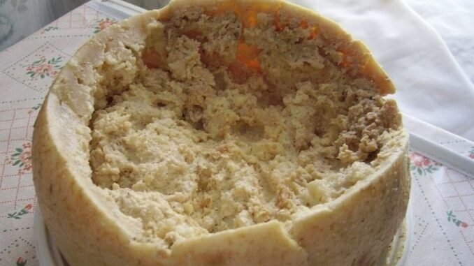 Casu Marzu: Sardinya'nın Lezzet Sırrı - Merhaba İzmir