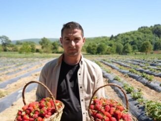 Çiftçi Yalçın Nar'ın Çilek Üretim Hikayesi - Merhaba İzmir