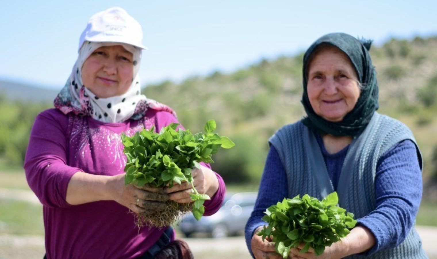 cukuroren-biberi-uretimi-ve-ozellikleri-vzmCLqxt.jpg