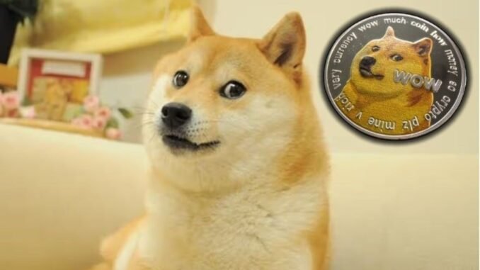dunyaca-unlu-doge-meme-kopegi-kabosunu-kaybettik-9O9aBrKh.jpg