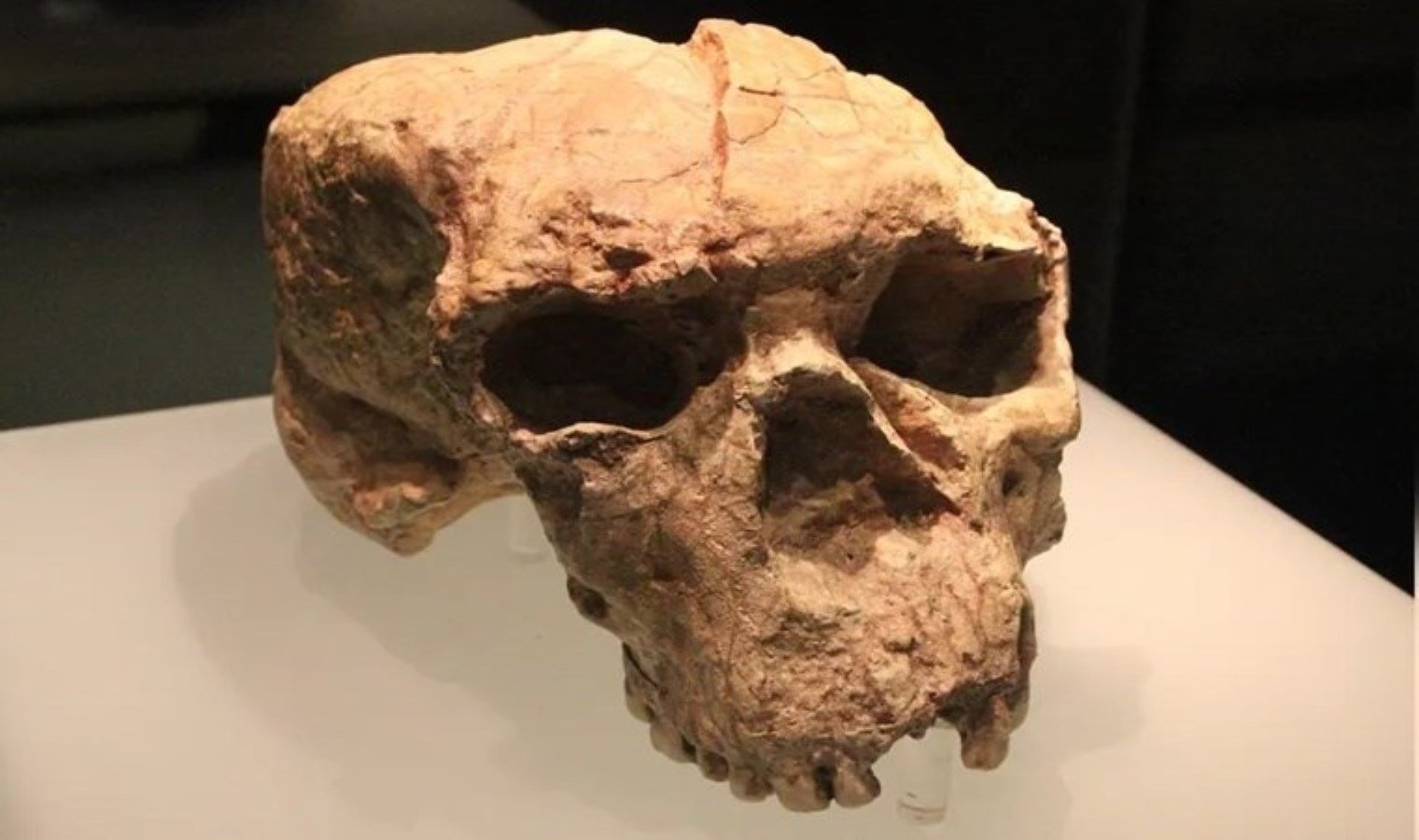 ejderha-adam-ve-yunxian-adami-gizemli-insan-turleri-kS4BPLmr.jpg