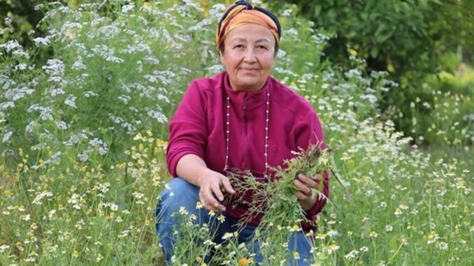 emeklilik-sonrasi-tutkuya-donusen-bir-hikaye-bEyrcY9O.jpg