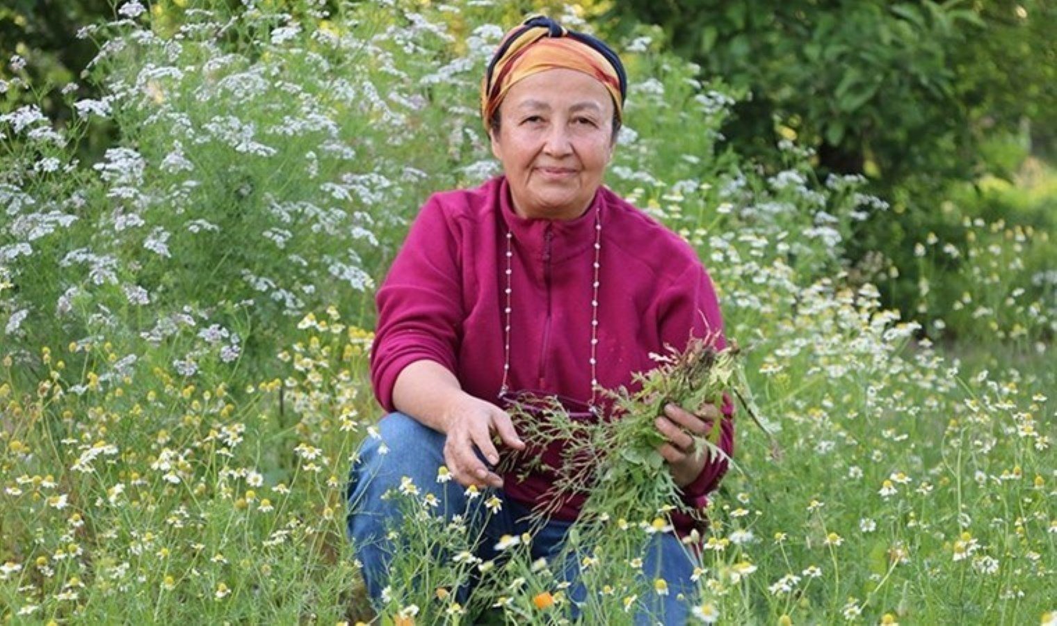 emeklilik-sonrasi-tutkuya-donusen-bir-hikaye-bEyrcY9O.jpg