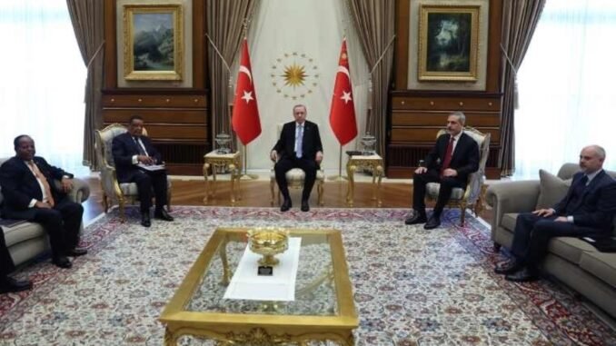 erdogan-etiyopya-heyetiyle-gorustu-tLd5FVgY.jpg