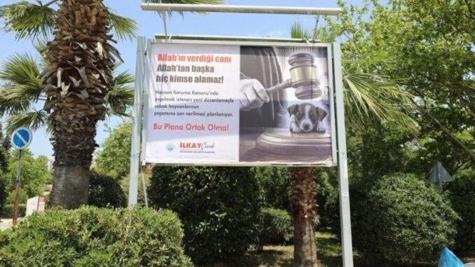 menderes-belediyesi-sokak-hayvanlari-icin-sesini-yukseltiyor-WnGcLbSg.jpg