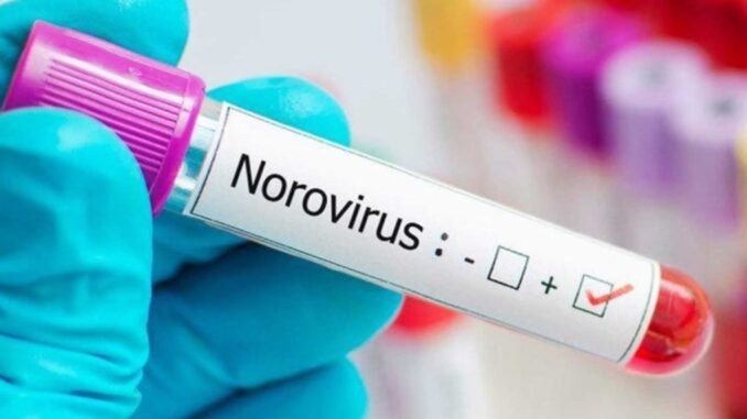 noroviruslerin-sikligi-ve-bahar-aylari-VDbR3S89.jpg