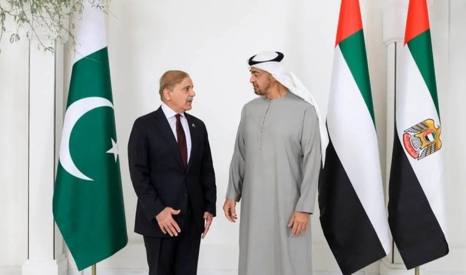 pakistan-basbakani-serif-bae-devlet-baskani-ile-yatirim-konularinda-gorustu-zmcDXAil.jpg