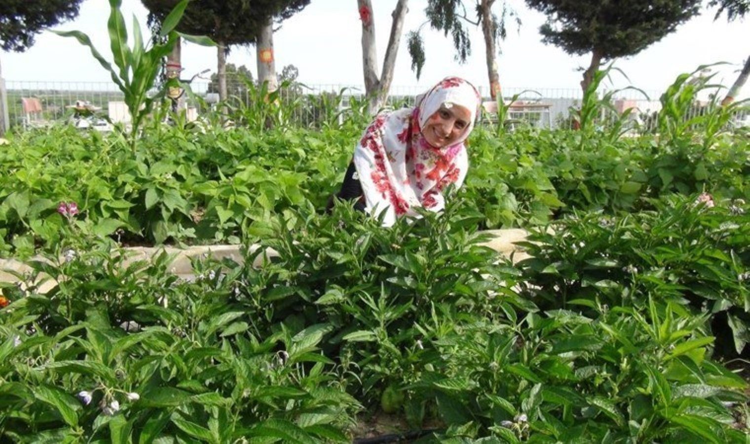 silifke-tarim-uretim-ve-fen-okulu-ziyareti-vZH8A55n.jpg