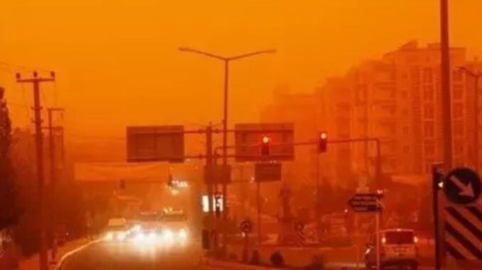 solunum-yolu-enfeksiyonlari-ve-alerjiler-79XZ1WOw.jpg