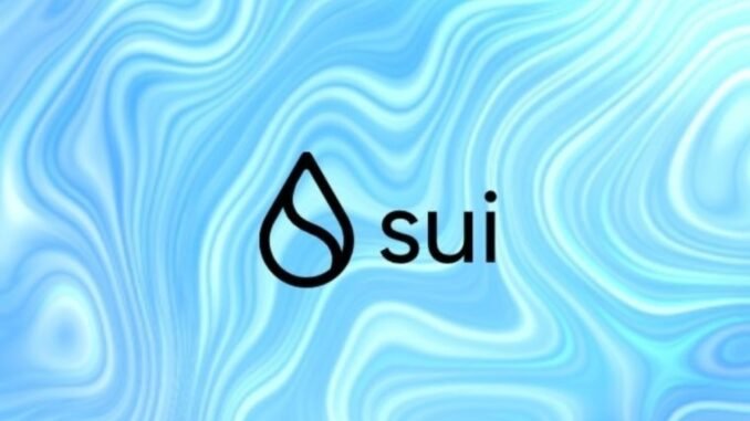 sui-ve-google-cloud-is-birligi-wKrwZ6m1.jpeg