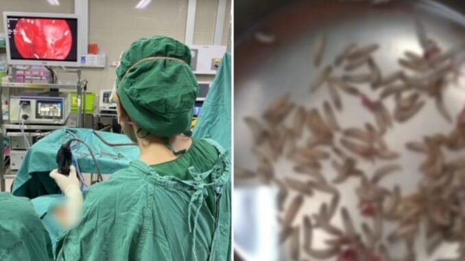 taylandli-kadinin-burununda-kurtcuklar-R95INJsU.jpg