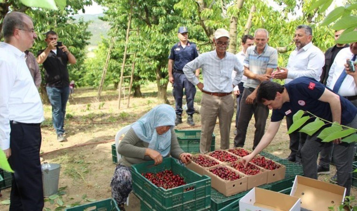 amasyada-kiraz-hasadi-50-bin-ton-rekolte-bekleniyor-ElCA7Nqj.jpg