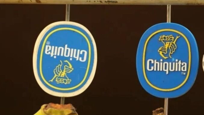 chiquita-muz-sirketi-ve-kolombiya-auc-tazminat-davasi-hT21lWsN.jpg