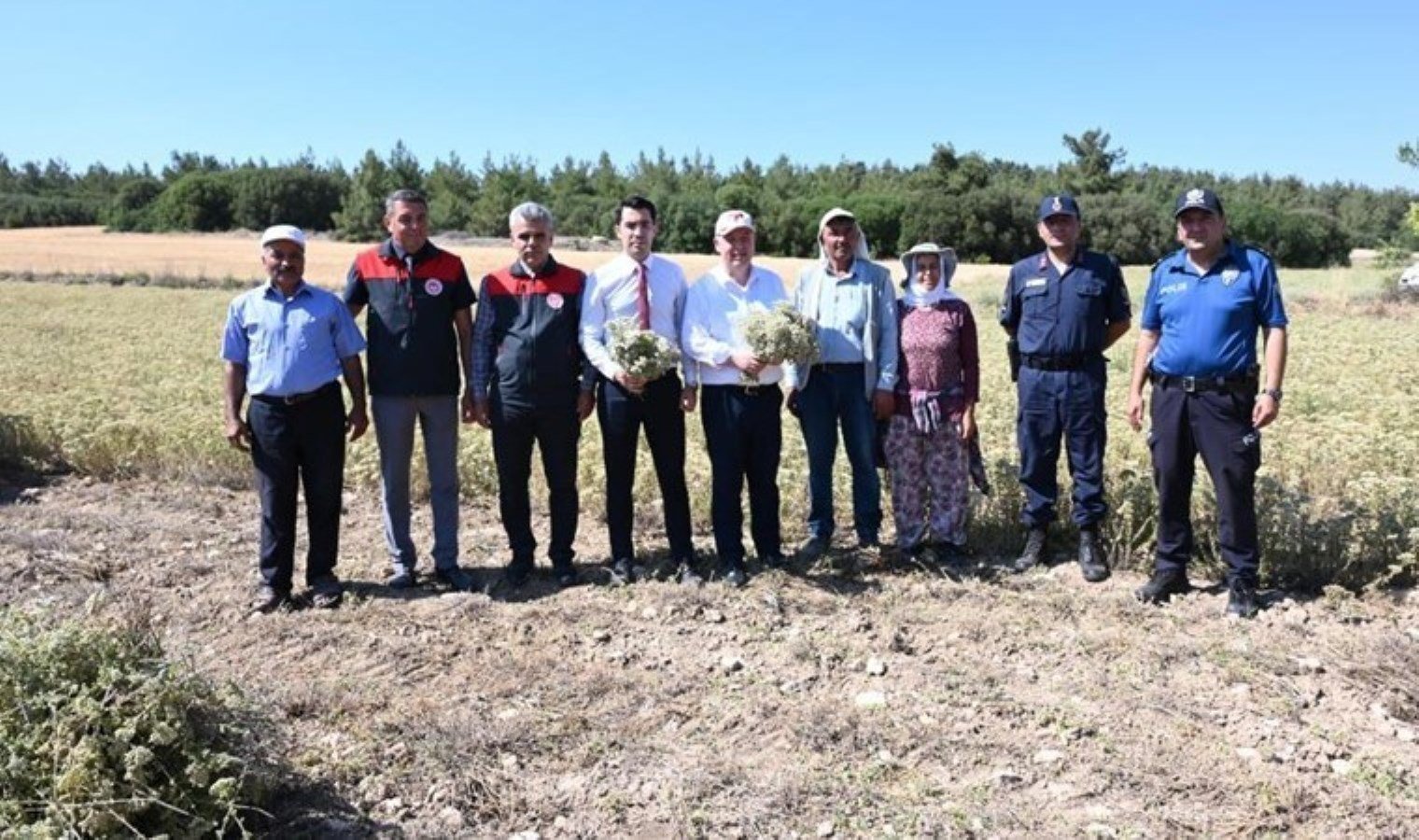 denizli-kekik-hasadi-ve-uretiminde-son-durum-3f6ui9fE.jpg