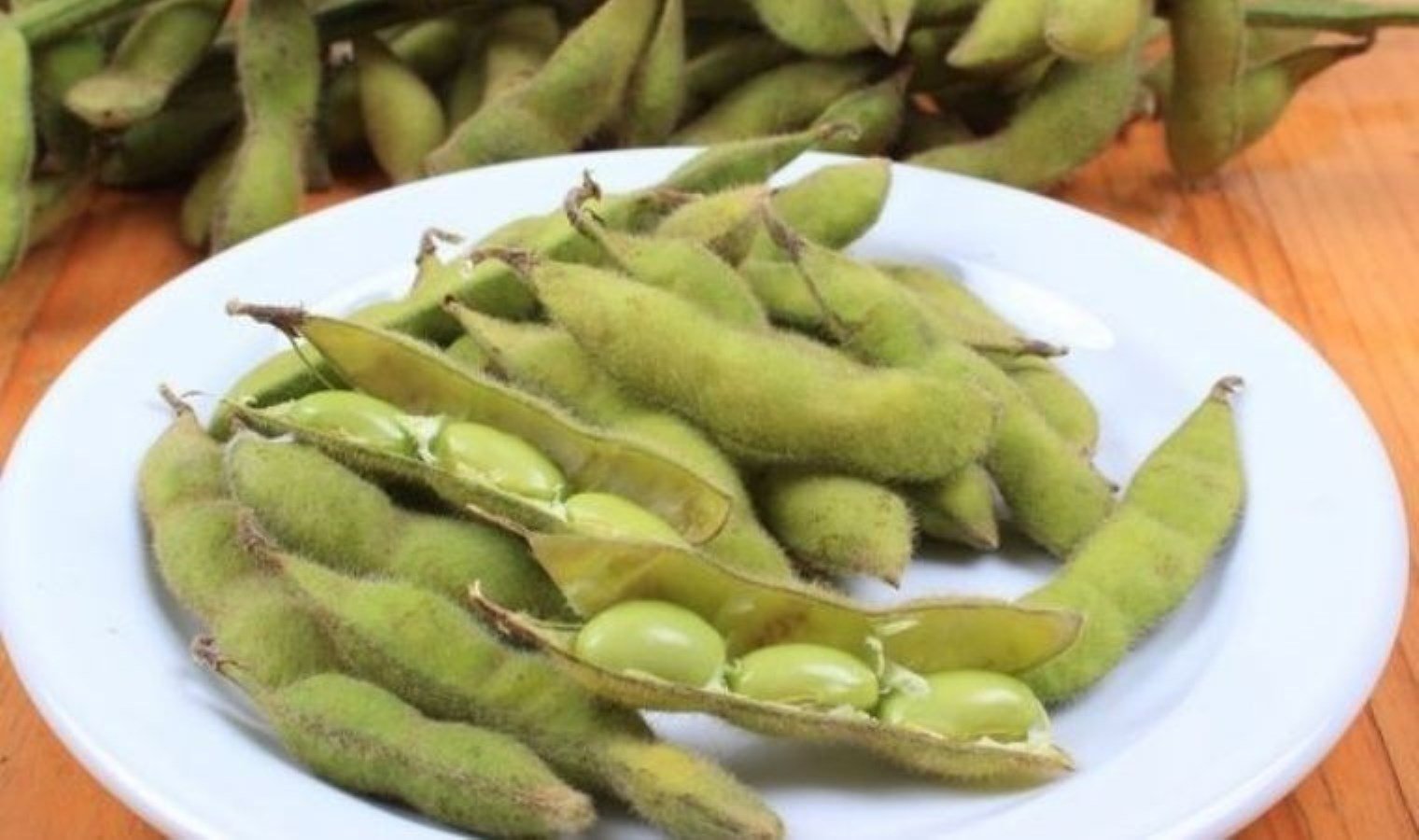 edamame-yemyesil-bir-protein-deposu-VSGdlYZw.jpg