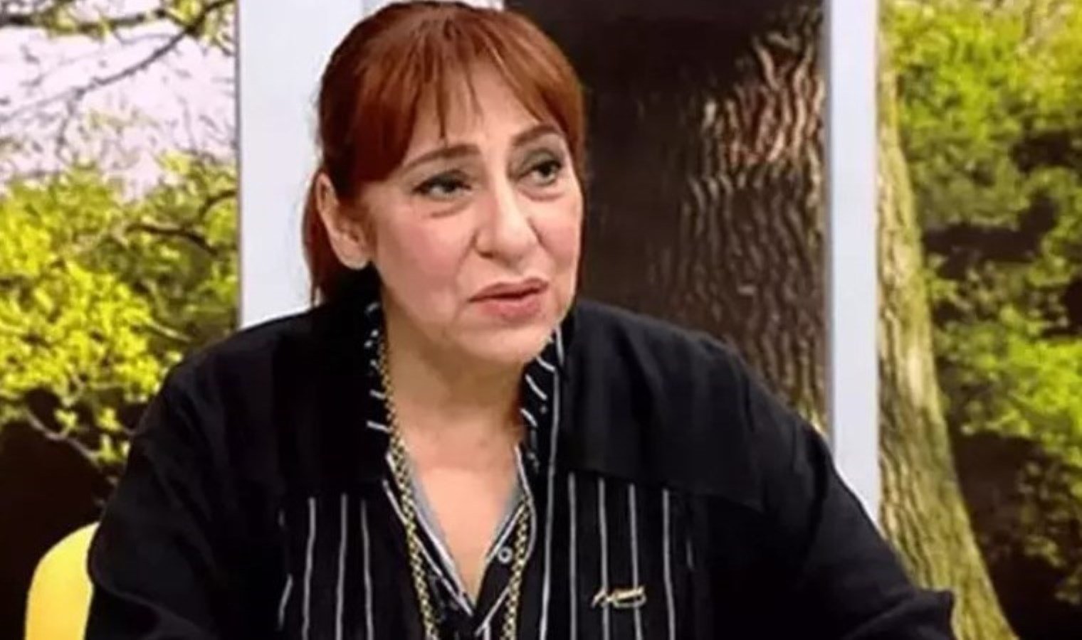 melek-baykal-inci-taneleri-dizisine-katiliyor-vx5Um3Gu.jpg