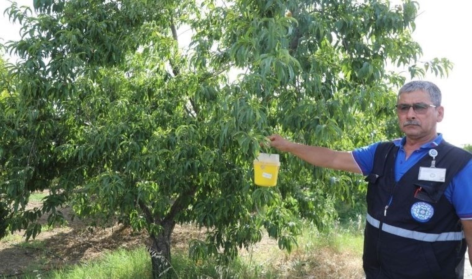 mugla-buyuksehir-belediyesi-narenciye-ureticilerine-destek-veriyor-Wy7UeDpt.jpg