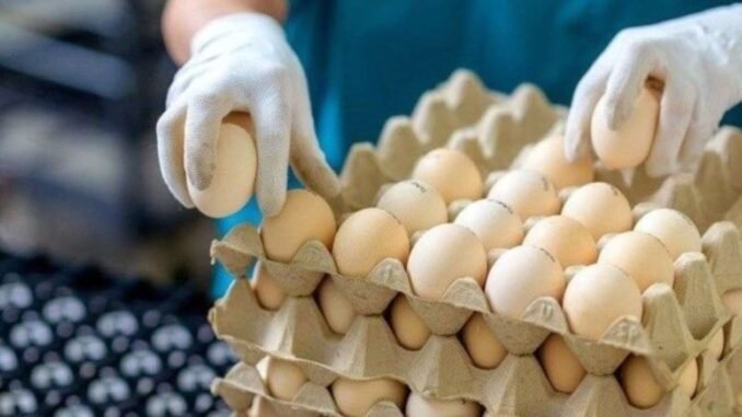 protein-ve-genel-saglik-ce4KYS71.jpg