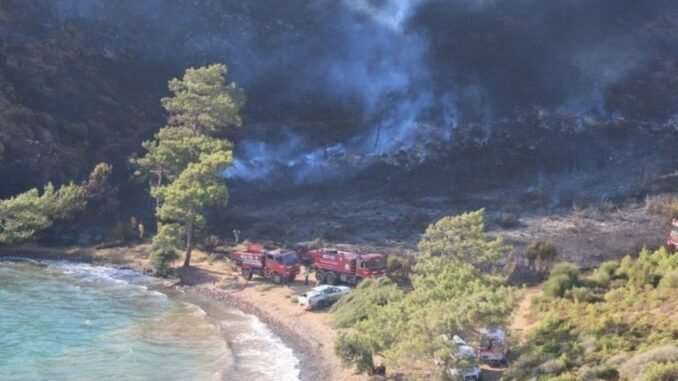 marmaris-hisaronunde-cikan-yangin-sonrasi-baskan-unluden-aciklama-lvQ7mVzB.jpg