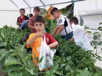 Okuldaki Çiftlik Projesi ile Öğrenciler Tarımda Farkındalık Kazanıyor - Merhaba İzmir