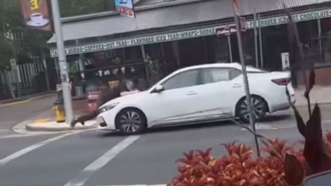 Tallahassee'de Hırsızlık Olayı ve Cesur Dükkan Sahibi - Merhaba İzmir