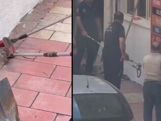 Yeni Mahalle'de Yılan Yakalama Olayı - Merhaba İzmir